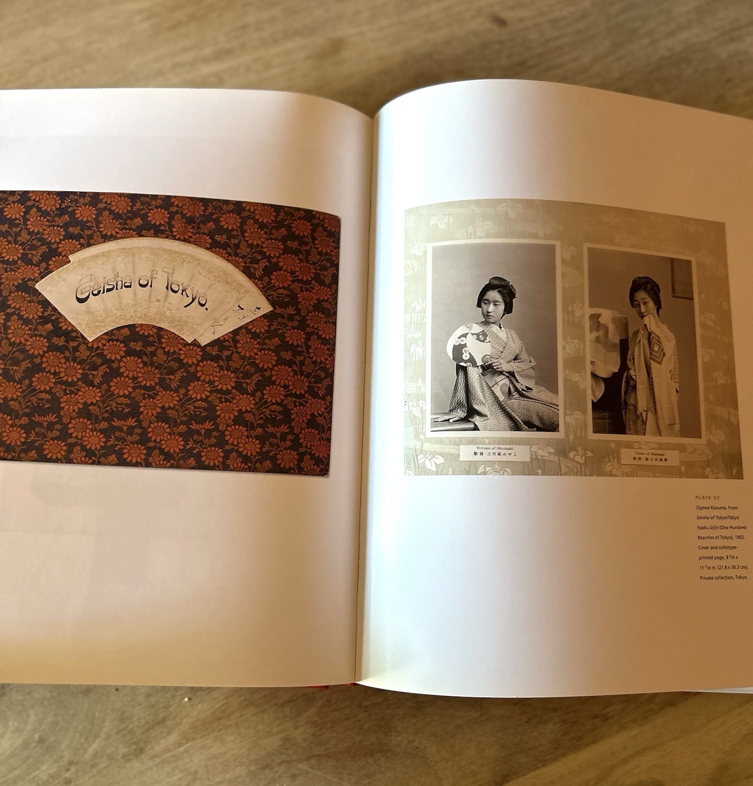 History of Japanese Photography by Dana Friis-Hansen, Kaneko Ryuichi, Anne Tucke