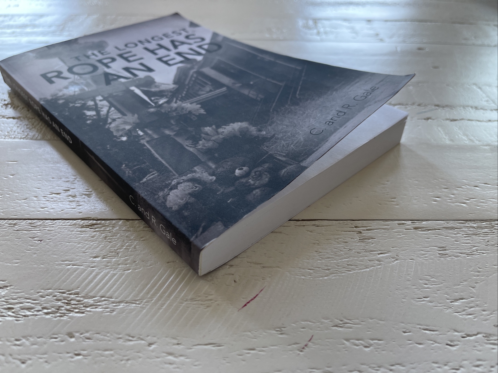 The Longest Rope Has An End Signed by C & R Gale 2021 Paperback Thriller