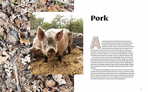 Diasporican: A Puerto Rican Cookbook, Maisonet, Illyanna, Excellent Book