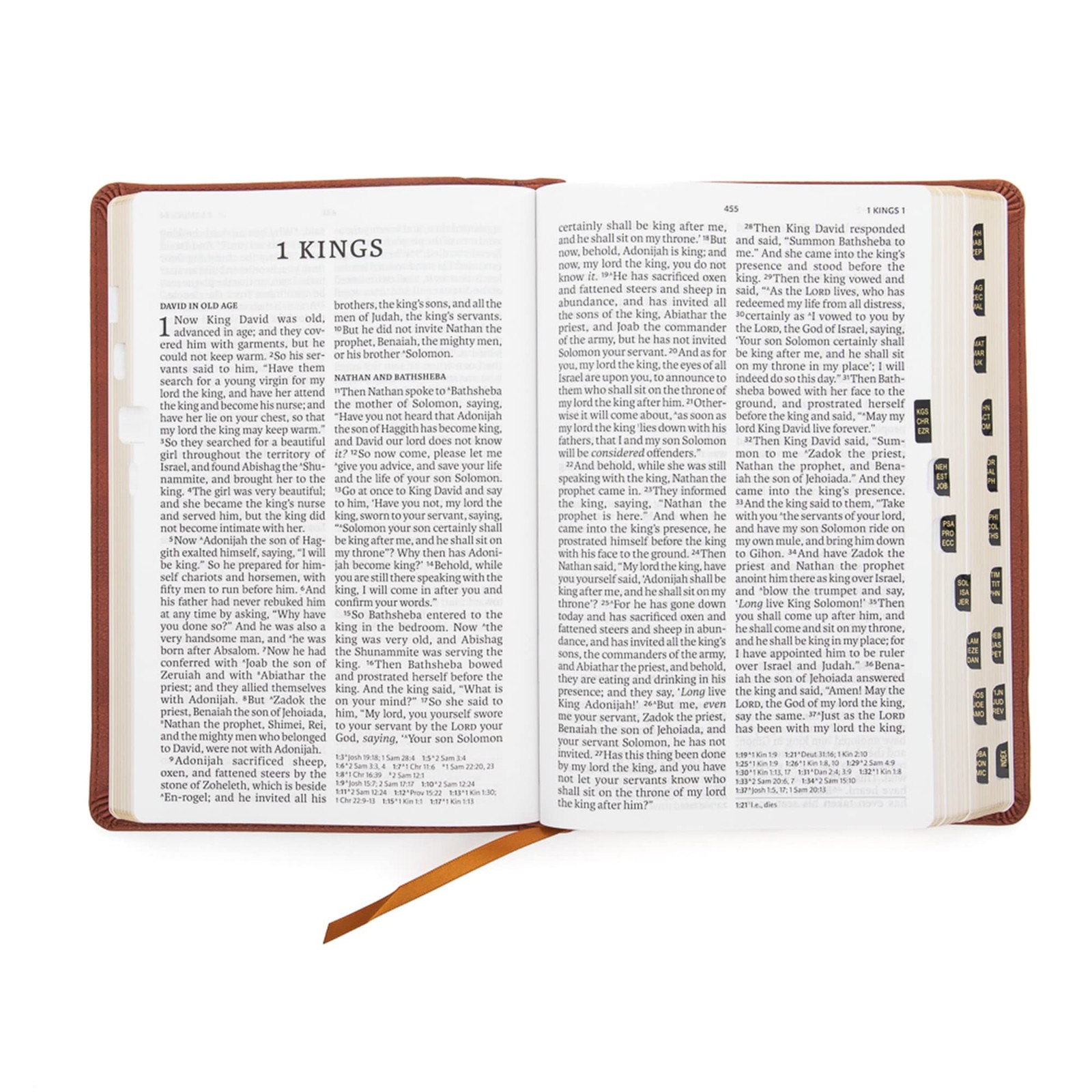 Reference Bible Super Giant Print Burnt Sienna LeatherTouch Indexed