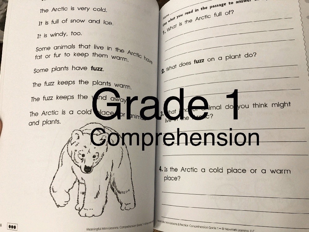 Lot of 6 Workbooks Grades 1,2,3 English Writing Comprehension Language