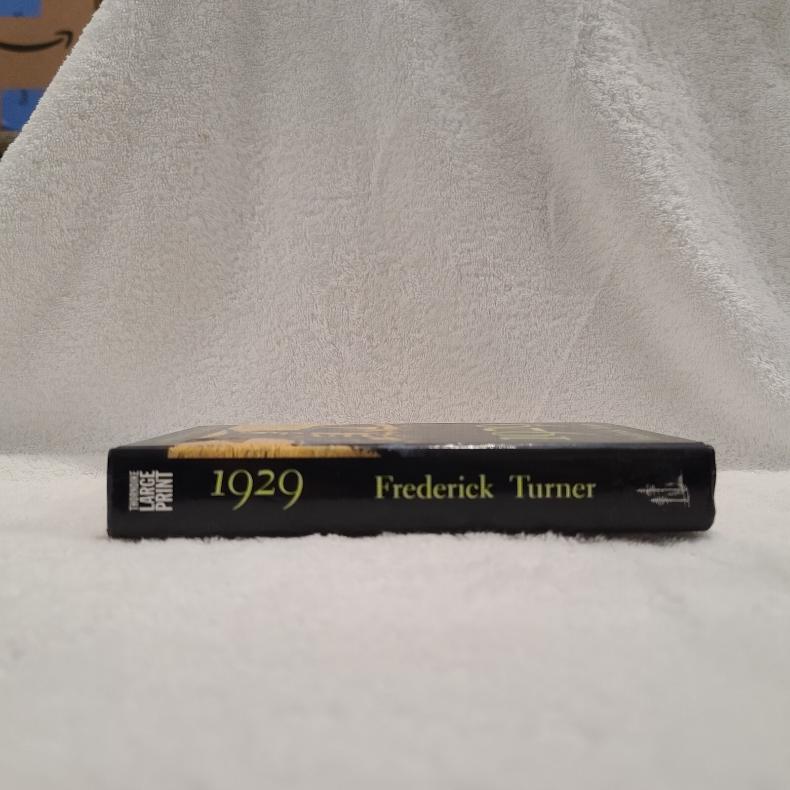 1929 : A Novel of the Jazz Age *** Large Print*** Hardcover Frederick Turner