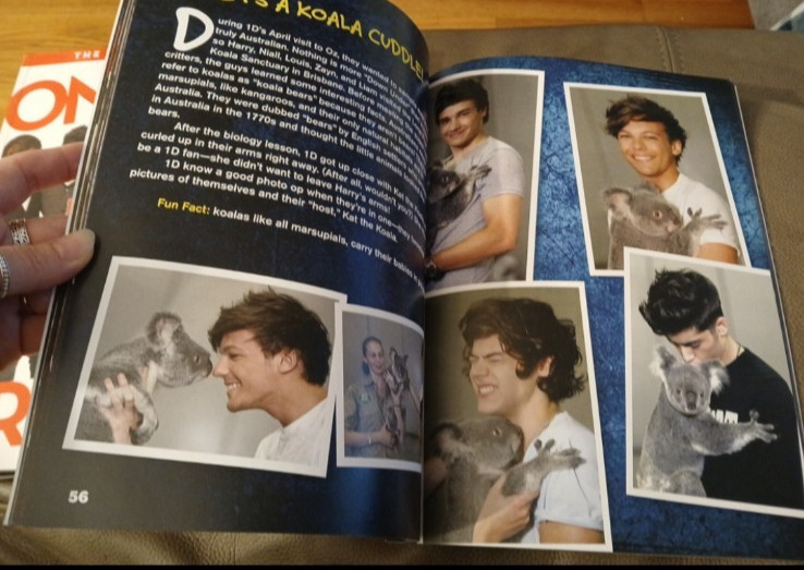 Rare One Direction Book Lot
