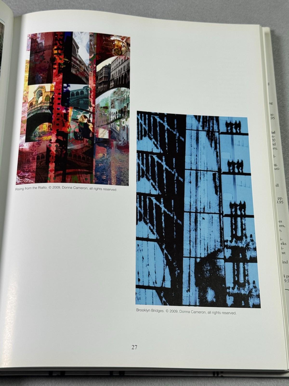 100 New York Photographers by Cynthia Maris Dantzic (2009, Hardcover)