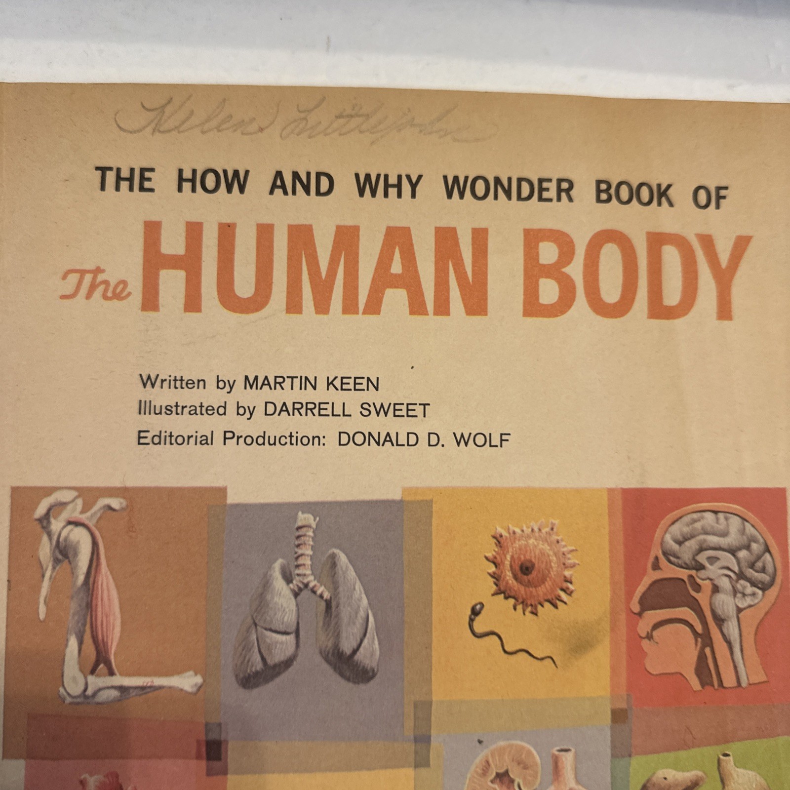 Lot Of 3 The How And Why Wonder Books Paperback Science Human Body Scientists