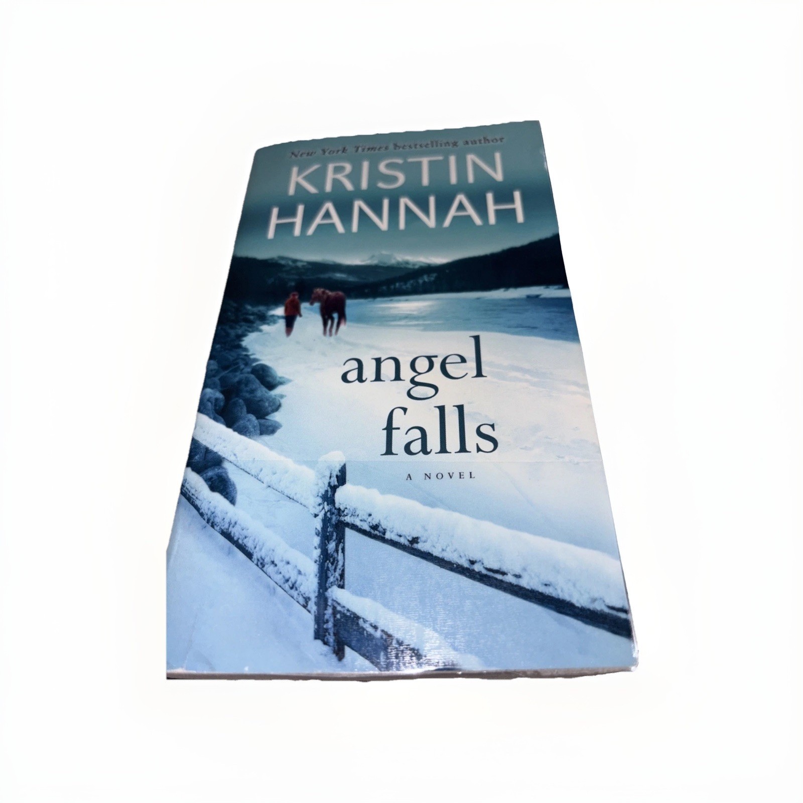 Angel Falls: A Novel – mass market paperback Hannah, Kristin