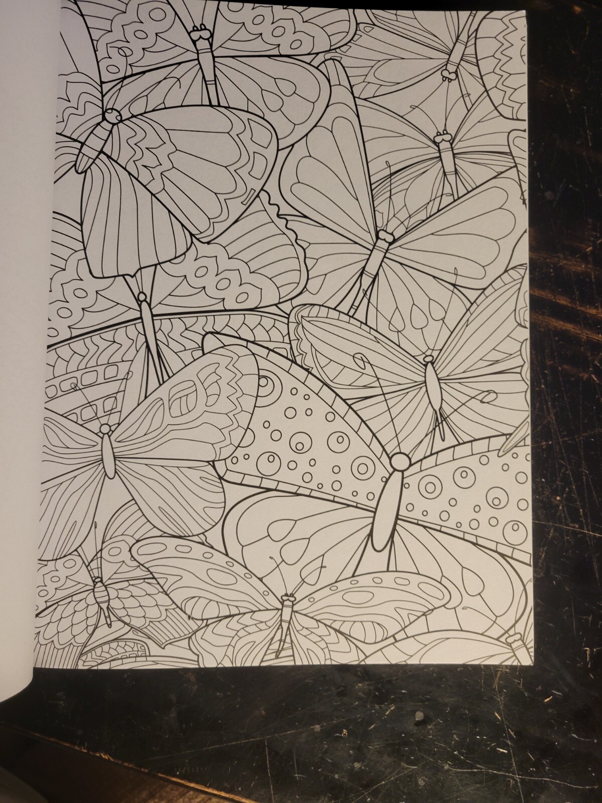 COLOR ME MAGNIFICENT Vol 10 – Adult Coloring Book by TOPIX MEDIA – 47 PRINTS