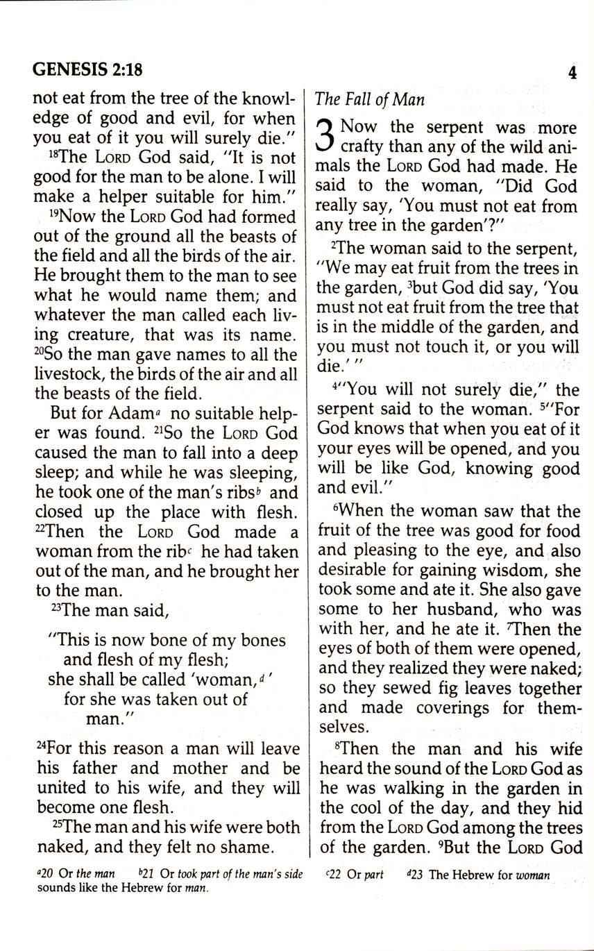 84 NIV GIANT PRINT — NEW GIANT Print Bible 1984 New International Version LG