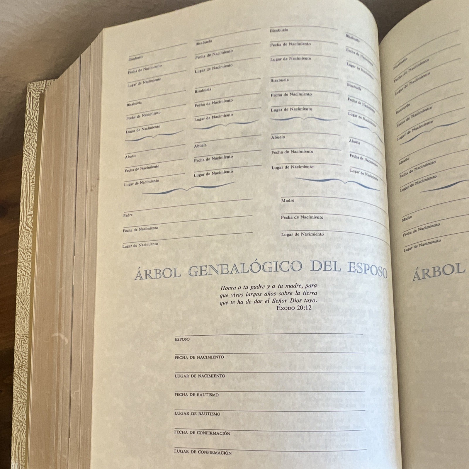 La Sagrada Biblia Felix Torres Amat Illustrated Family Bible Blank Record Like N