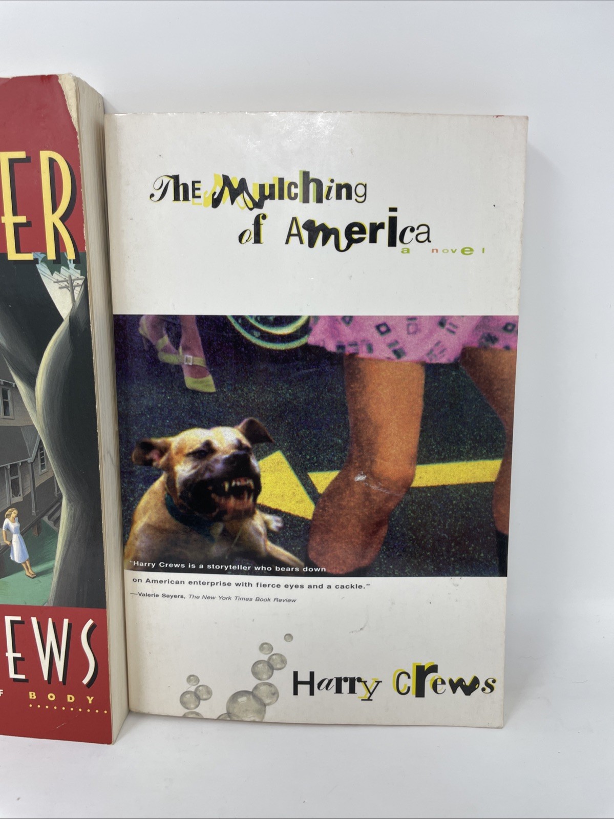 Lot 2 Harry Crews Scarlover and Mulching of America Trade Paperbacks 1992 1996