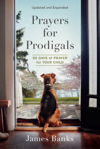 Prayers for Prodigals: 90 Days of Prayer for Your Child – Paperback – GOOD