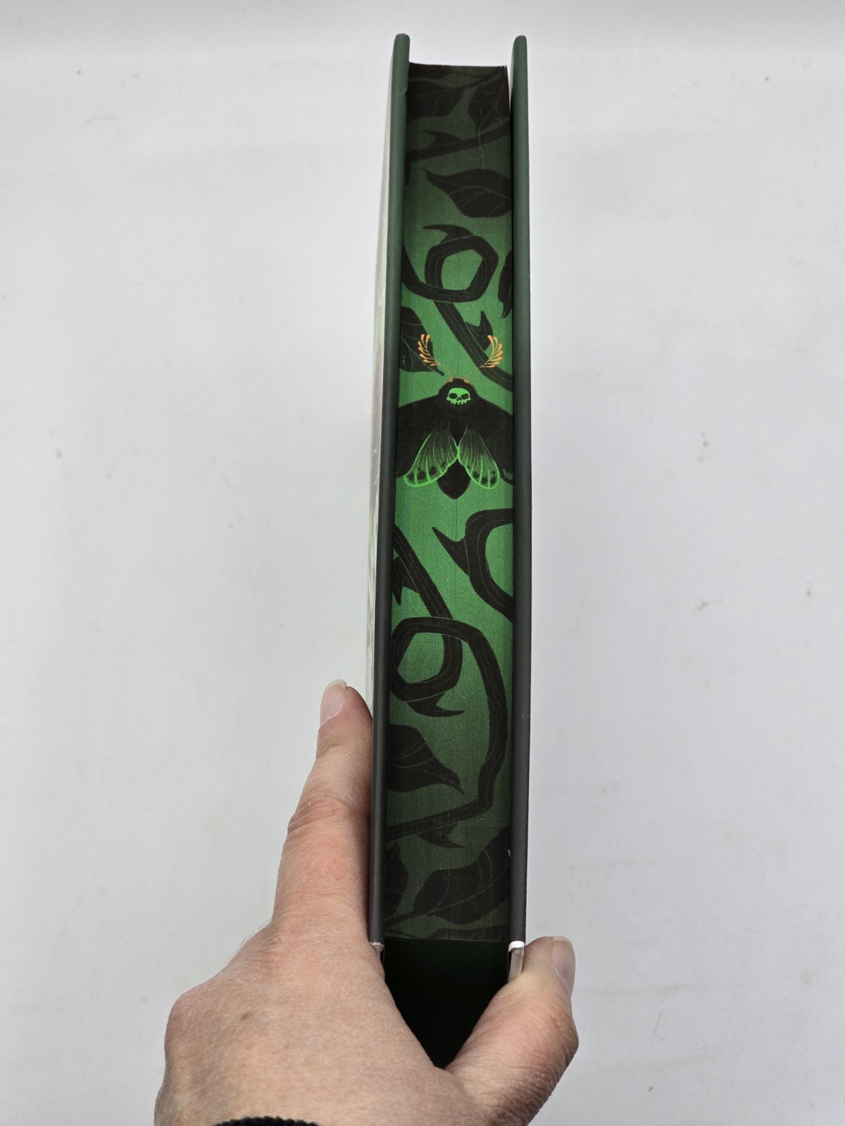 Seven Deadly Thorns Fairyloot Special Edition HC Amber Hamilton Sprayed Edges