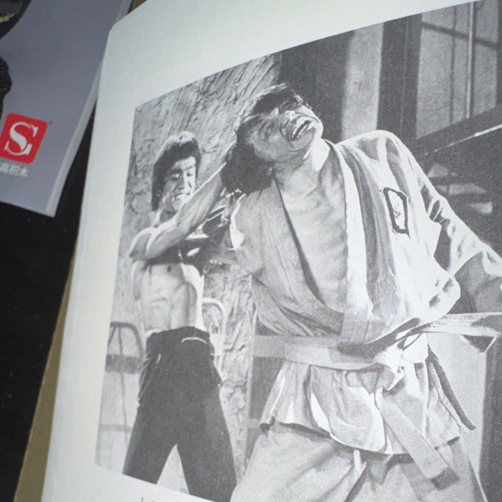 Bruce Lee The Art of Expressing the Human Body Bruce Lee Paperback Martial Arts