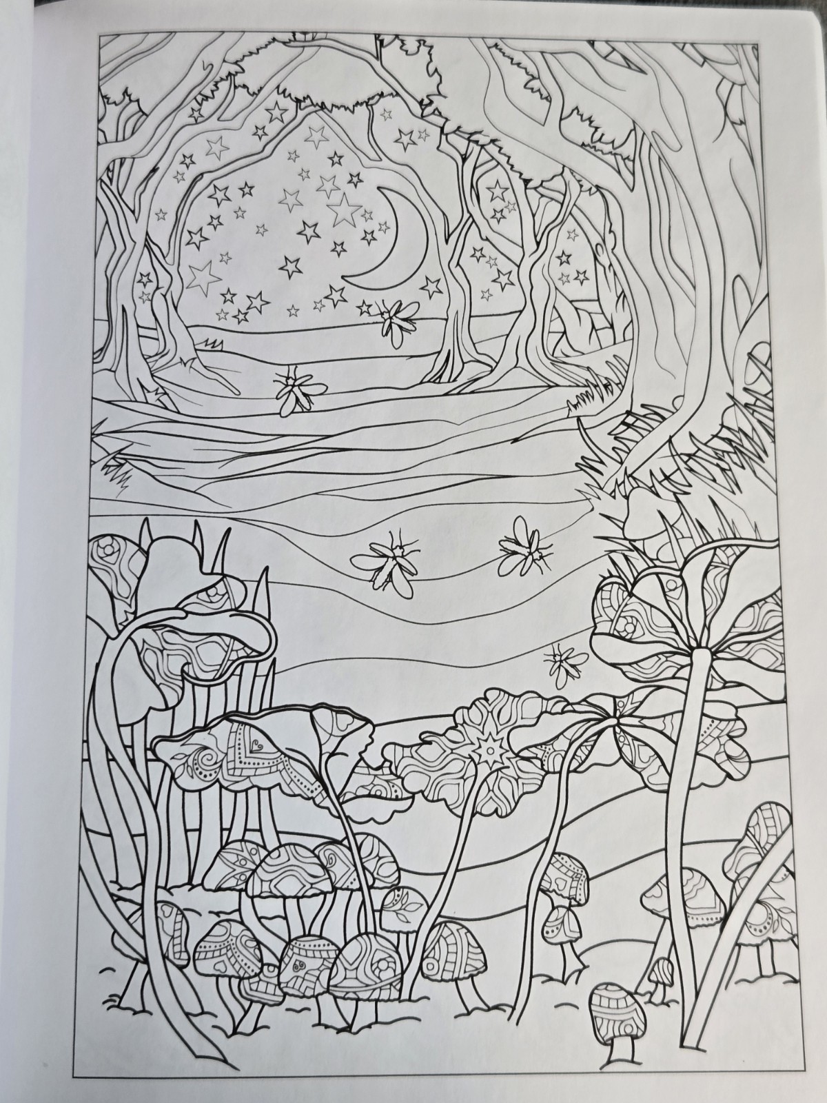 3 Adult Coloring Books Creative Mindful Stress Relief Jade Summer Animals Nature