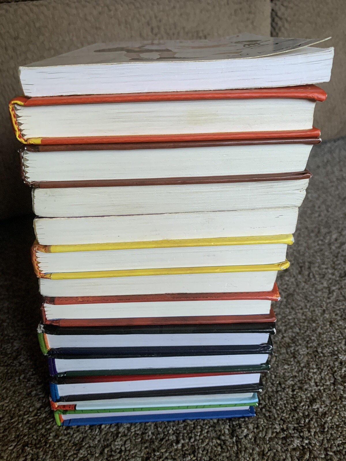 Chapter Books-Wimpy Kid-Dog Man-Cat Kid-Captain Underpants Lot Of 13 HB & PB