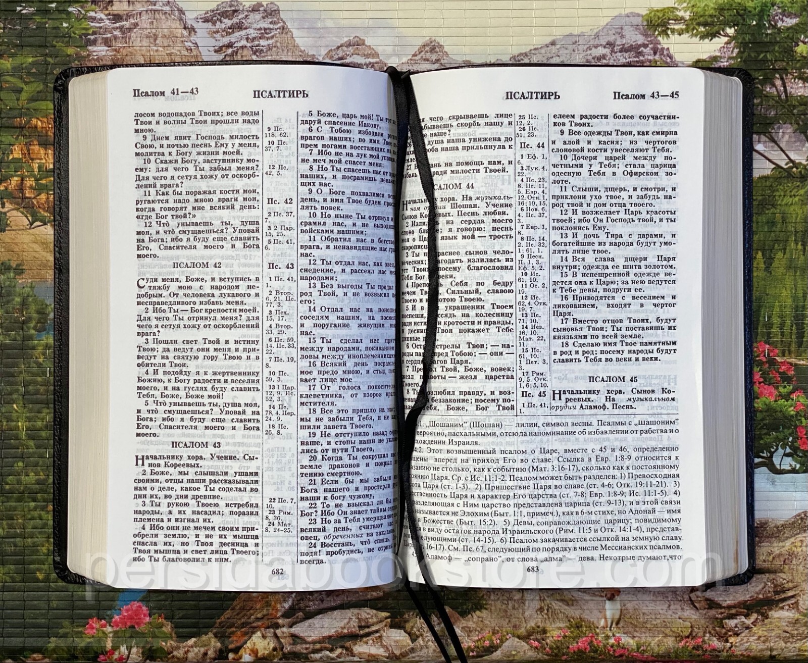 RUSSIAN BIBLE SCOFIELD Русская Библия с комментариями Скоуфилда