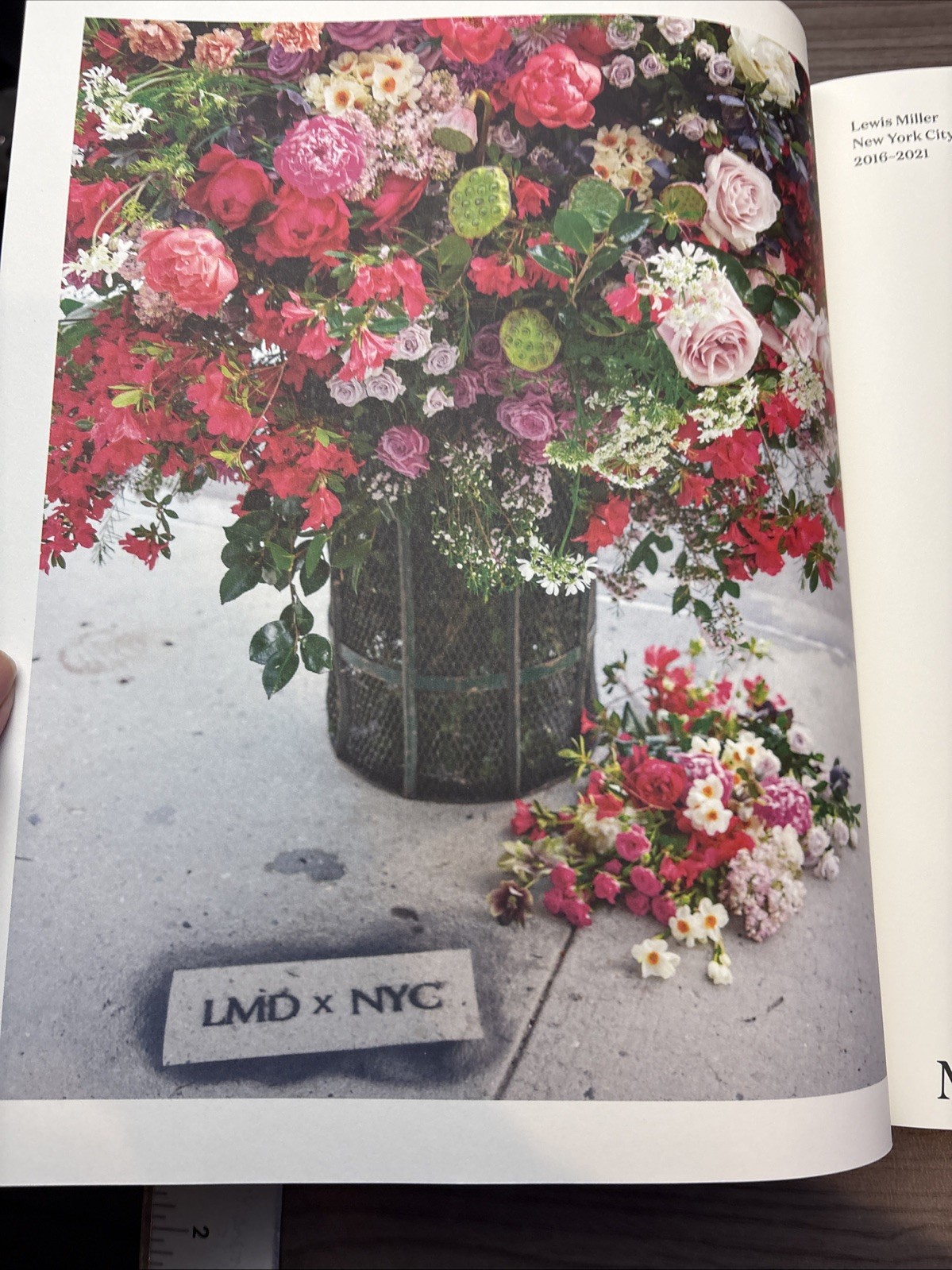 Flower Flash Monacelli Lewis Miller New York City Photo
