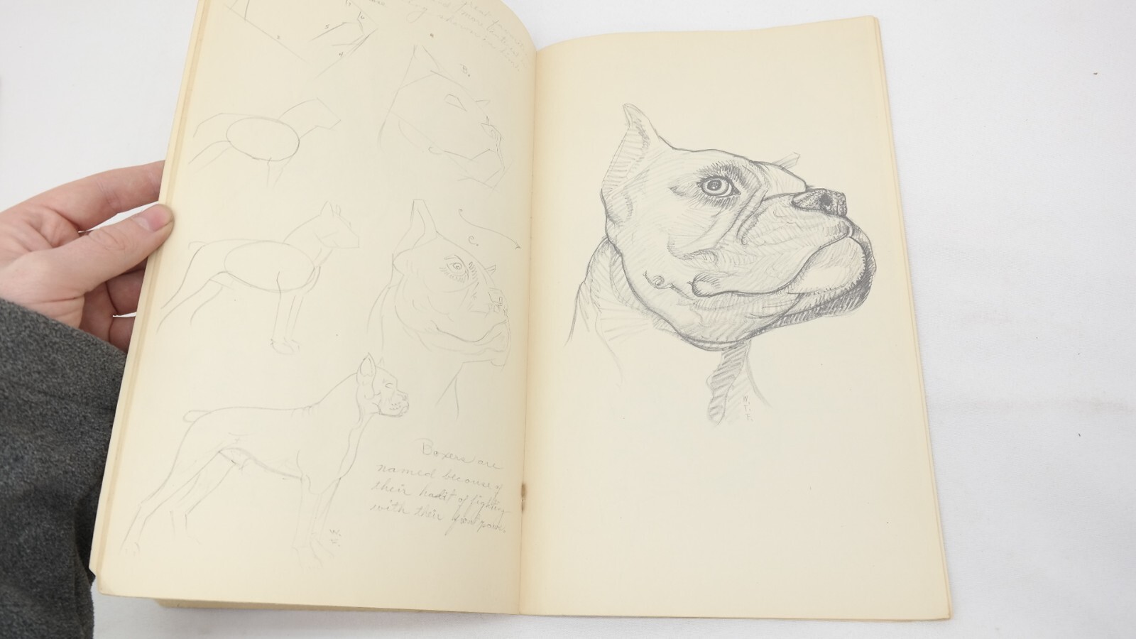 Vintage How To Draw Dogs by Walter T Foster Paperback Booklet TF