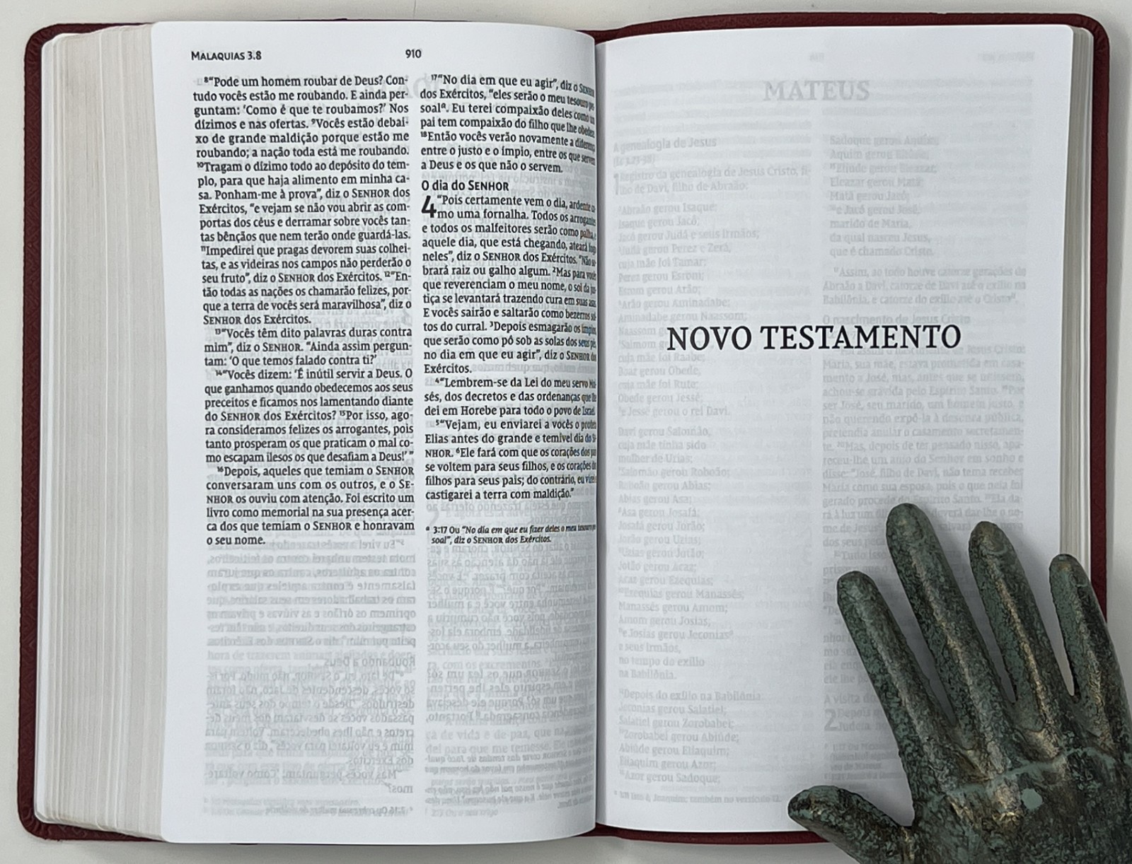 SPANISH BIBLE / RELIGION: Biblia Sagrada: NVI – 2011 SC Pub. by Thomas Nelson