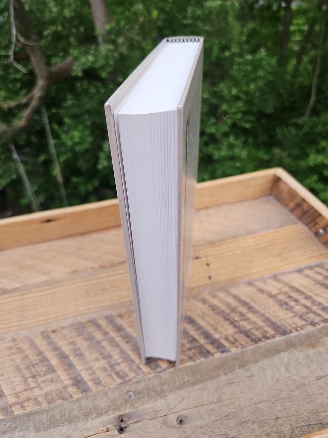 VG! Fathers of the Church by Hans Von Campenhausen Hardcover
