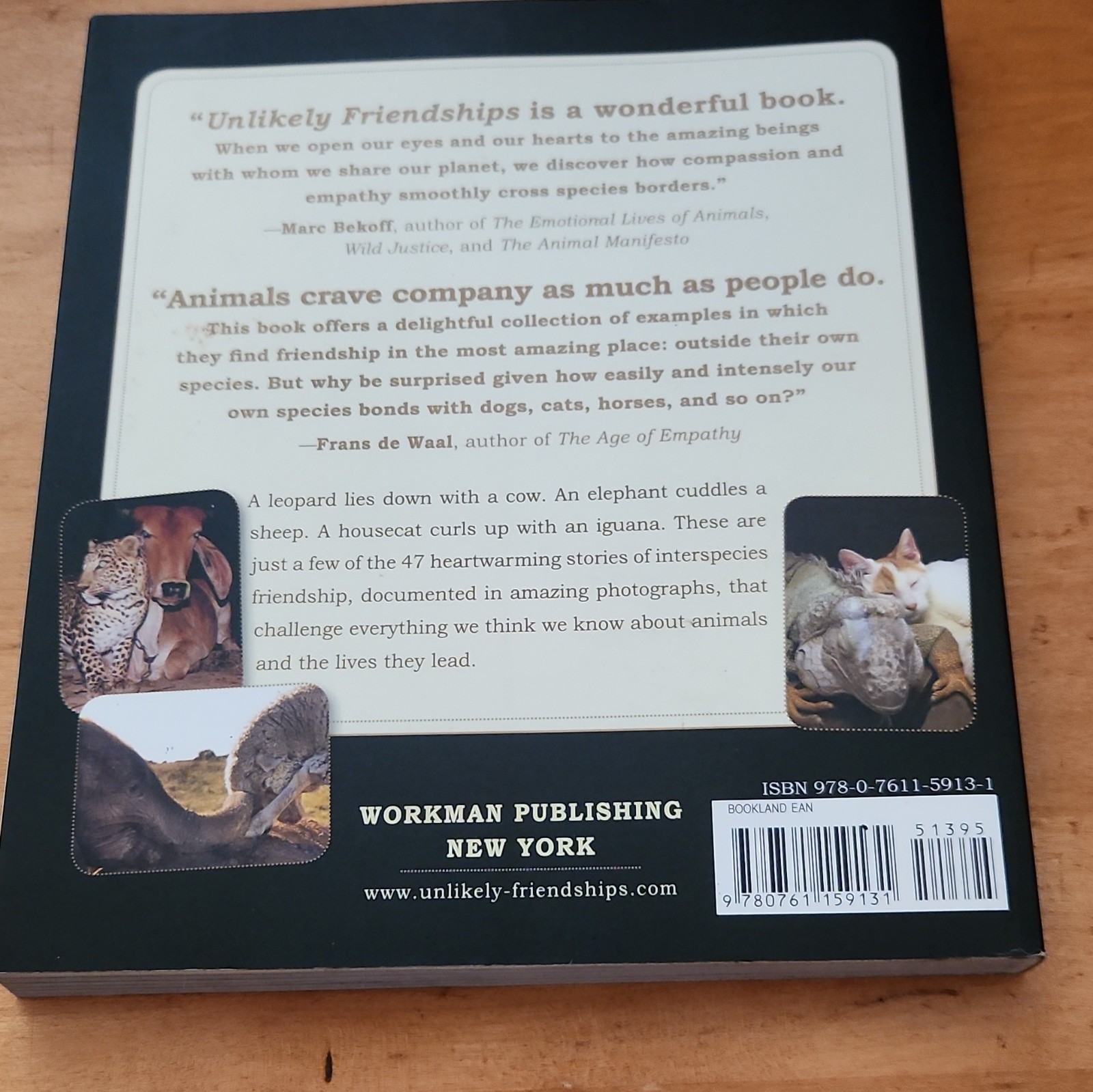 Jennifer S. Holland Unlikely Friendships 47 Stories Animal Kingdom PB 2011