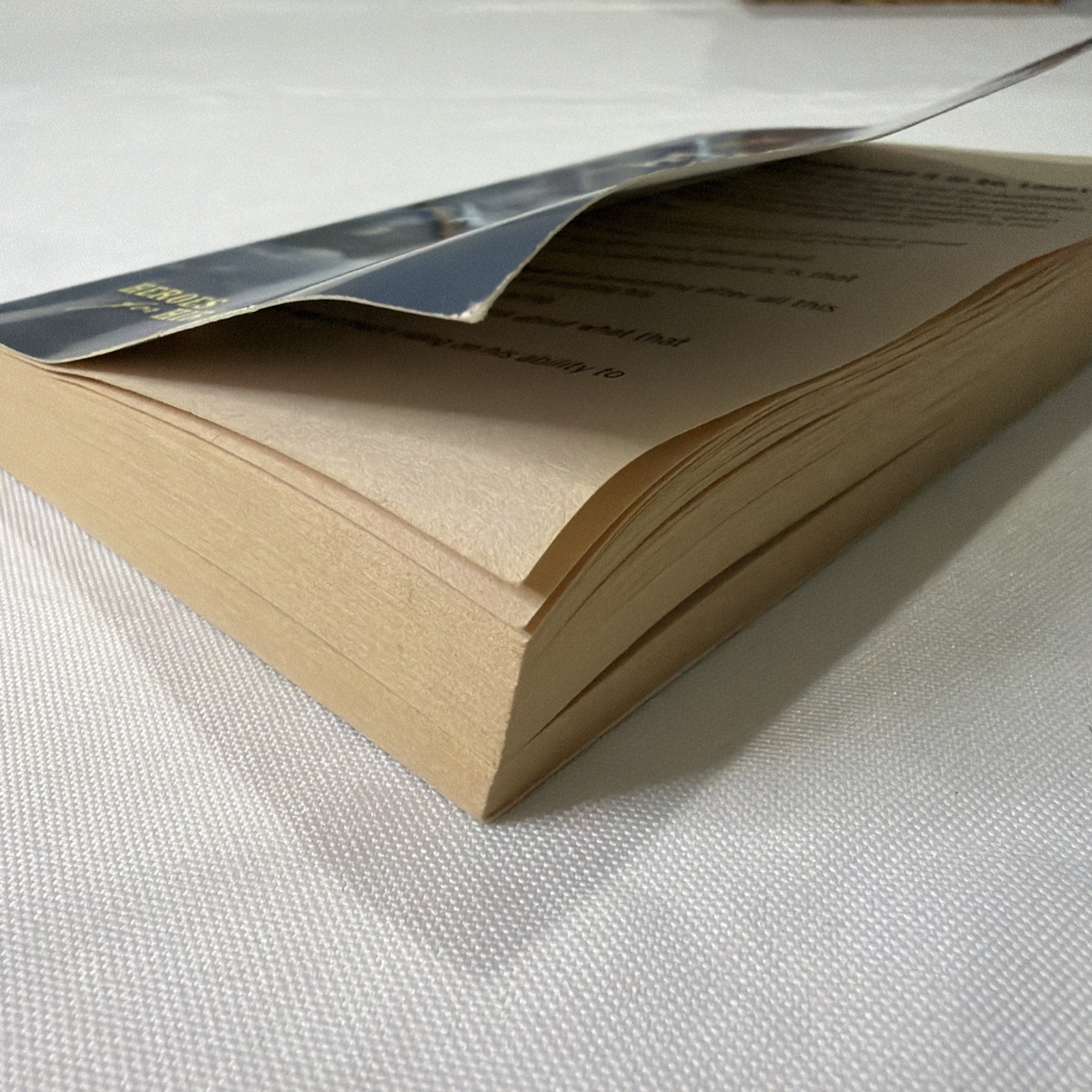 Fugitive by Shirlee McCoy (2013, Mass Market)