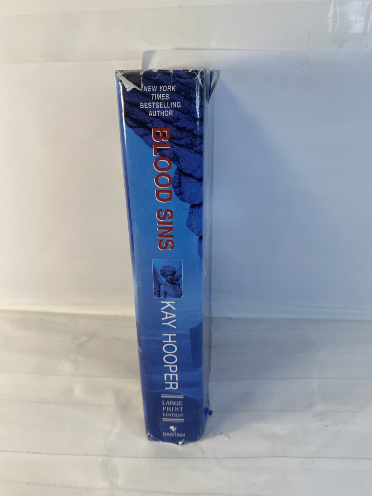 Blood Sins (Bishop/Special Crimes Unit Novels) – Hardcover By Hooper, Kay – GOOD