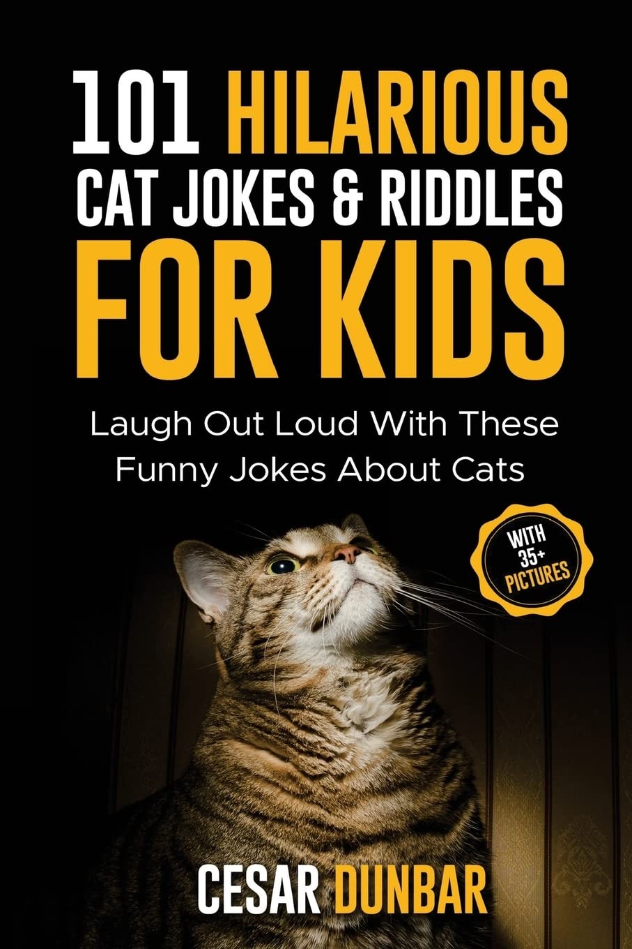 101 Hilarious Cat Jokes & Riddles For Kids: Laugh Out Loud With These Funny …