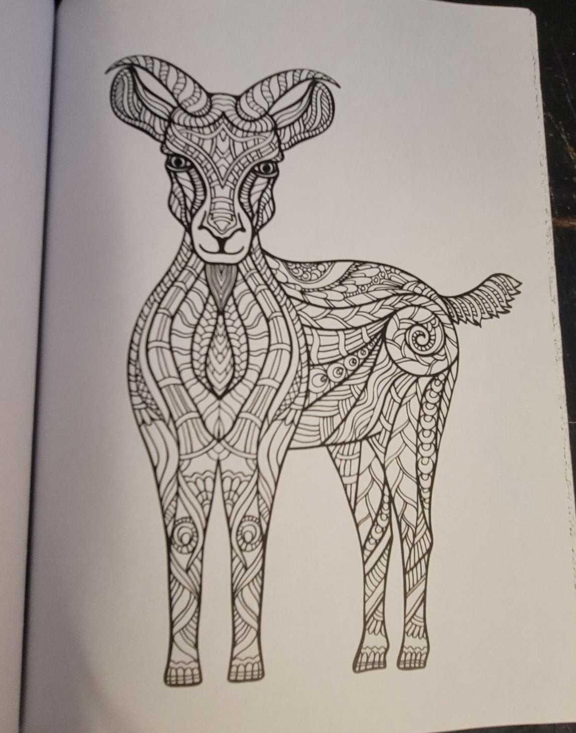 COLORS OF THE WILD Vol. 23 Adult Coloring Book With 47 Prints Ready To Frame!