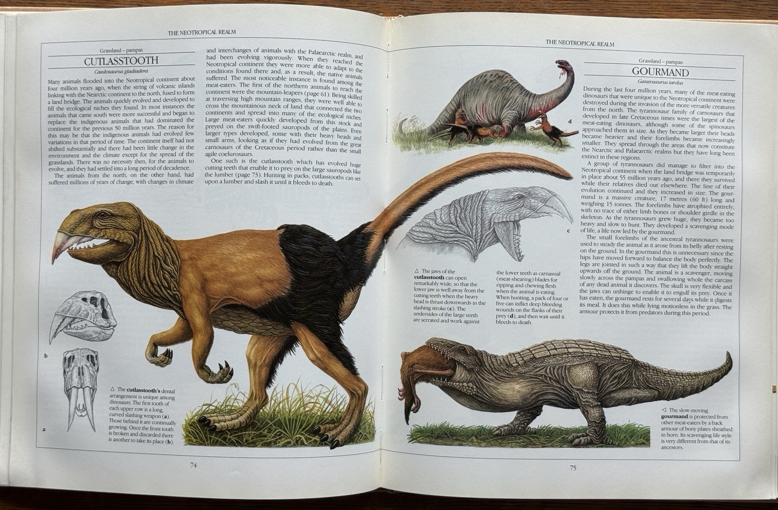 The New Dinosaurs Dougal Dixon 1988 First Edition HC/DJ Speculative Evolution