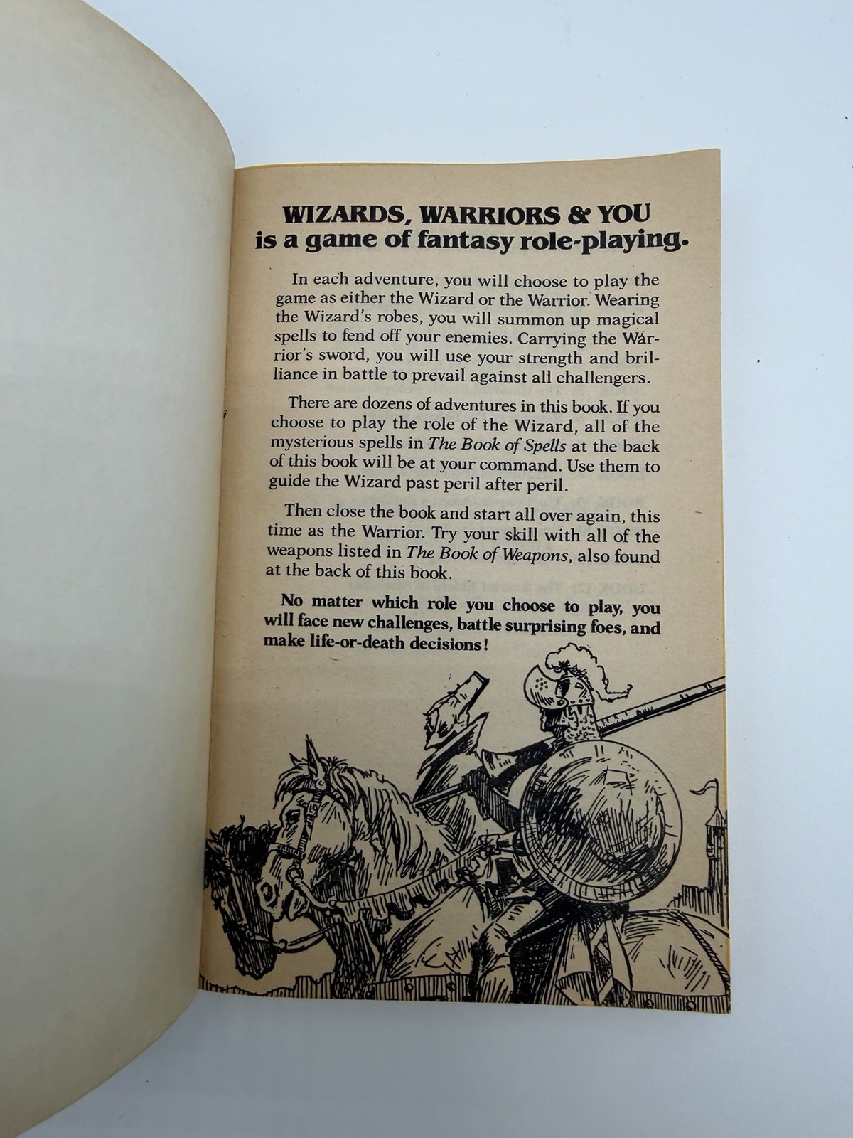Wizards Warriors & You Book 12 Scarlet Shield of Shalimar CYOA 1986 Paperback