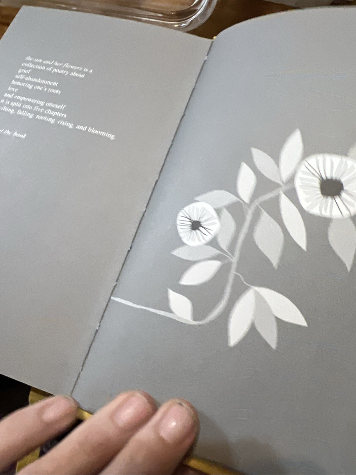 The Sun and Her Flowers, Rubi Kaur, 2018 HC