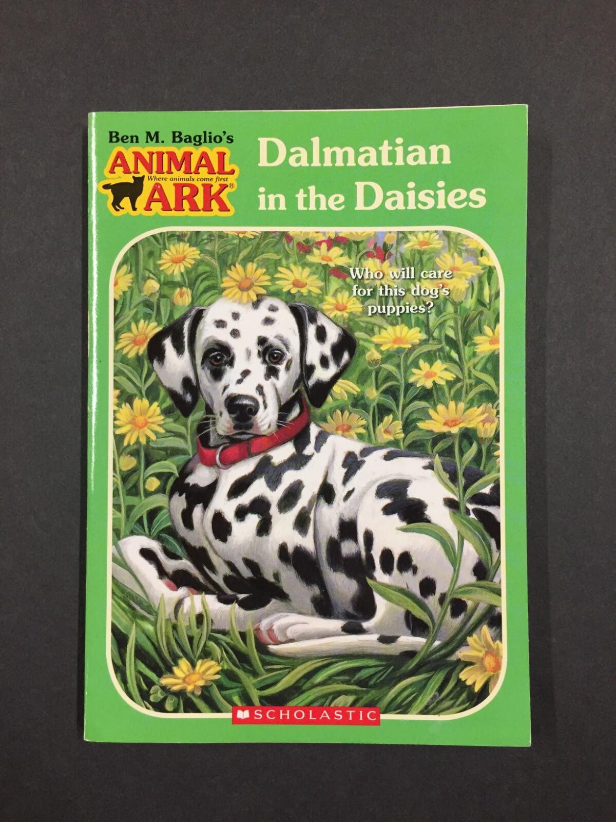 Dalmatian in the Daisies by Ben M. Baglio Scholastic Paperback