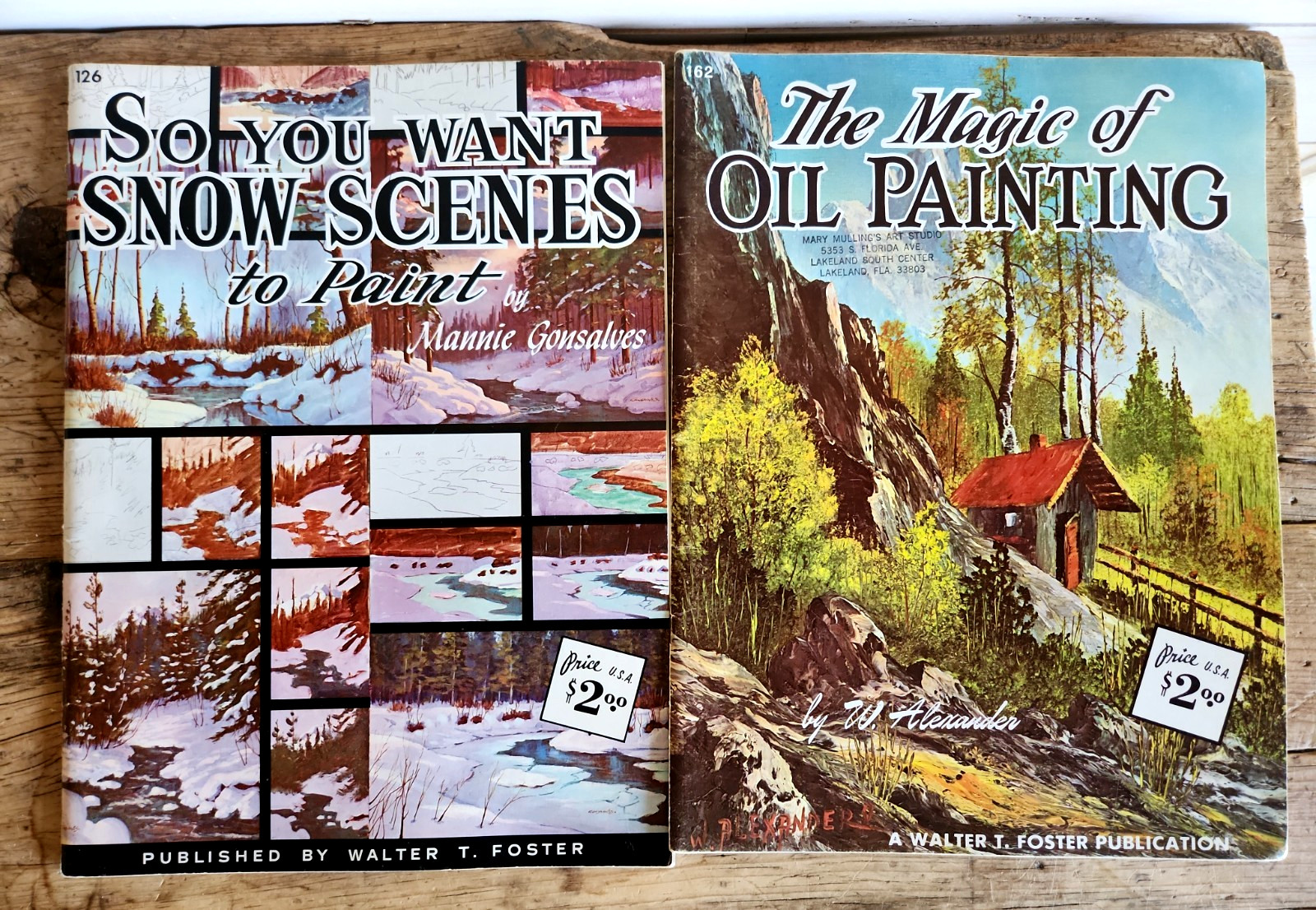 Vintage Art Books Lot Of 11 Walter T. Foster How To Draw Paint Paperbacks