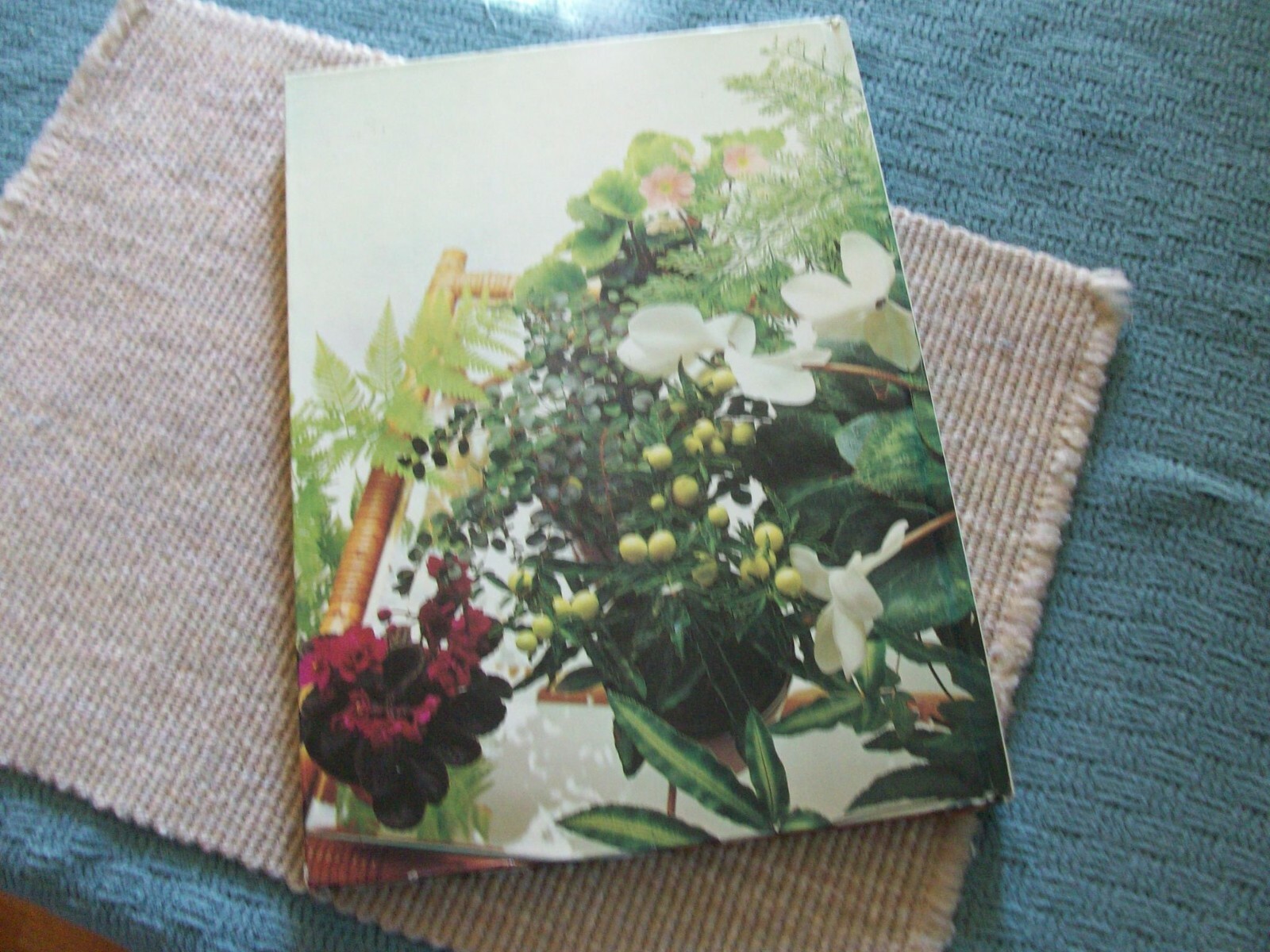 Colorful Houseplants by David Squire and Peter McHoy (1979,hardcover) gardening