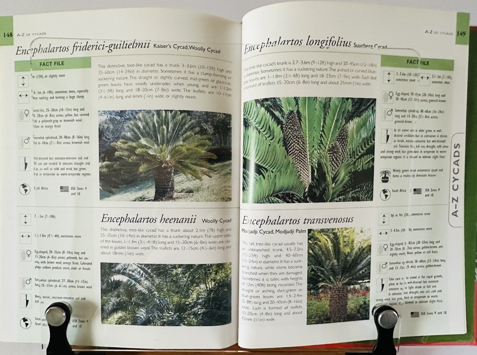 Palms And Cycads: A Guide To Selecting, Growing & Propagating David Squire New