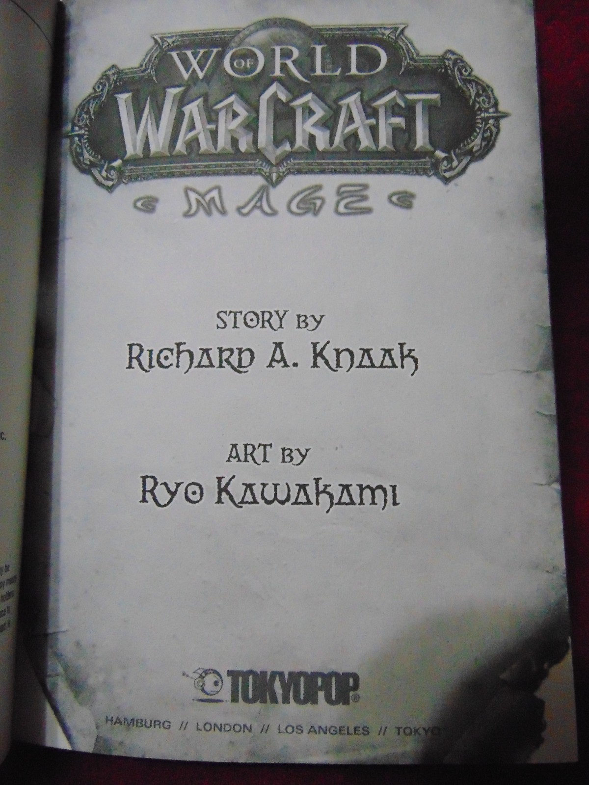 WORLD of WARCRAFT ~ MAGE ~ Graphic Novel by Richard A. Knaak (2010 – 1st Print)