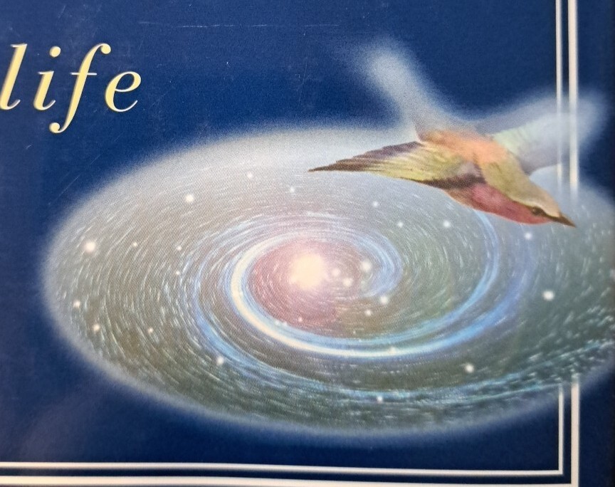 10000 Dreams Interpreted Book, By Gustavus Miller Wonderfully Illustrated