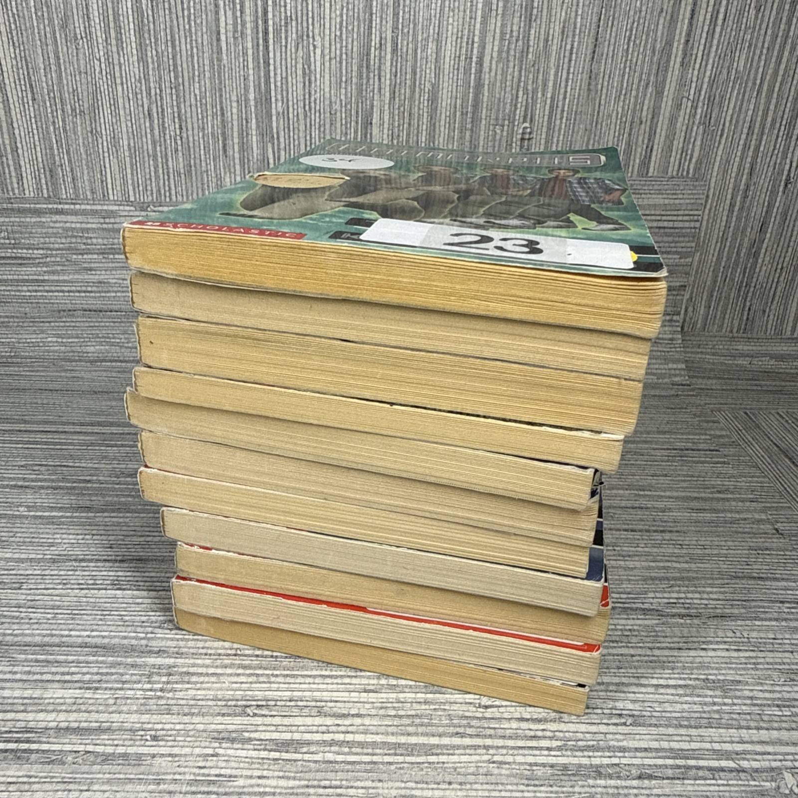 Animorphs Lot of 11 Books #3 7 25 35 11 x2 9 14 15 K.A. Applegate Scholastic PB