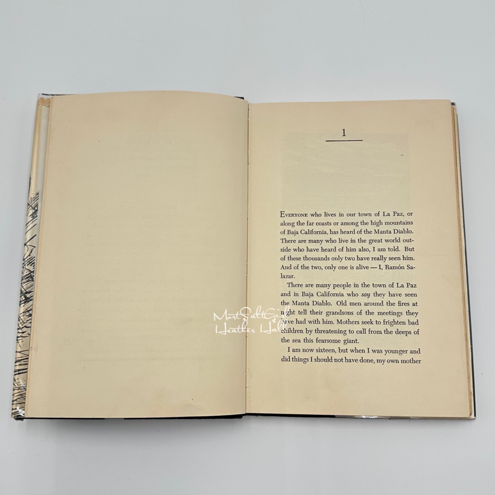 The Black Pearl By Scott ODell Hardcover Third Printing 1967 Library Copy Dust J