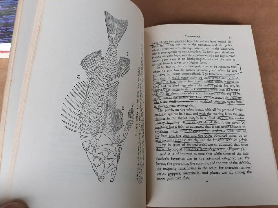 3 On Fish: Compleat Angler, Guide To Life, Life Story Of Fish, Acceptable