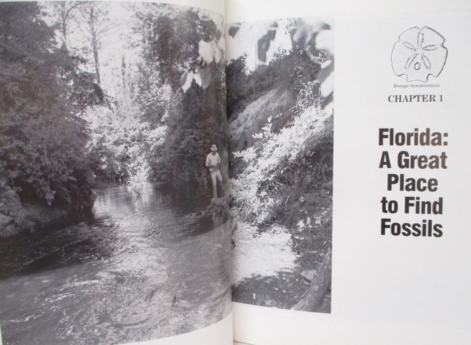 Florida’s Fossils by Brown Guide to Location, Identification and Enjoyment book