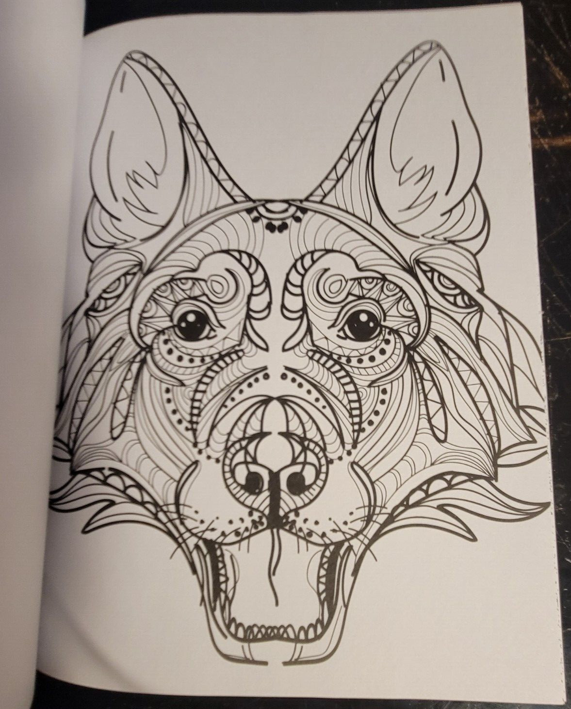 COLORS OF THE WILD Vol. 21 Adult Coloring Book With 47 Prints Ready To Frame!