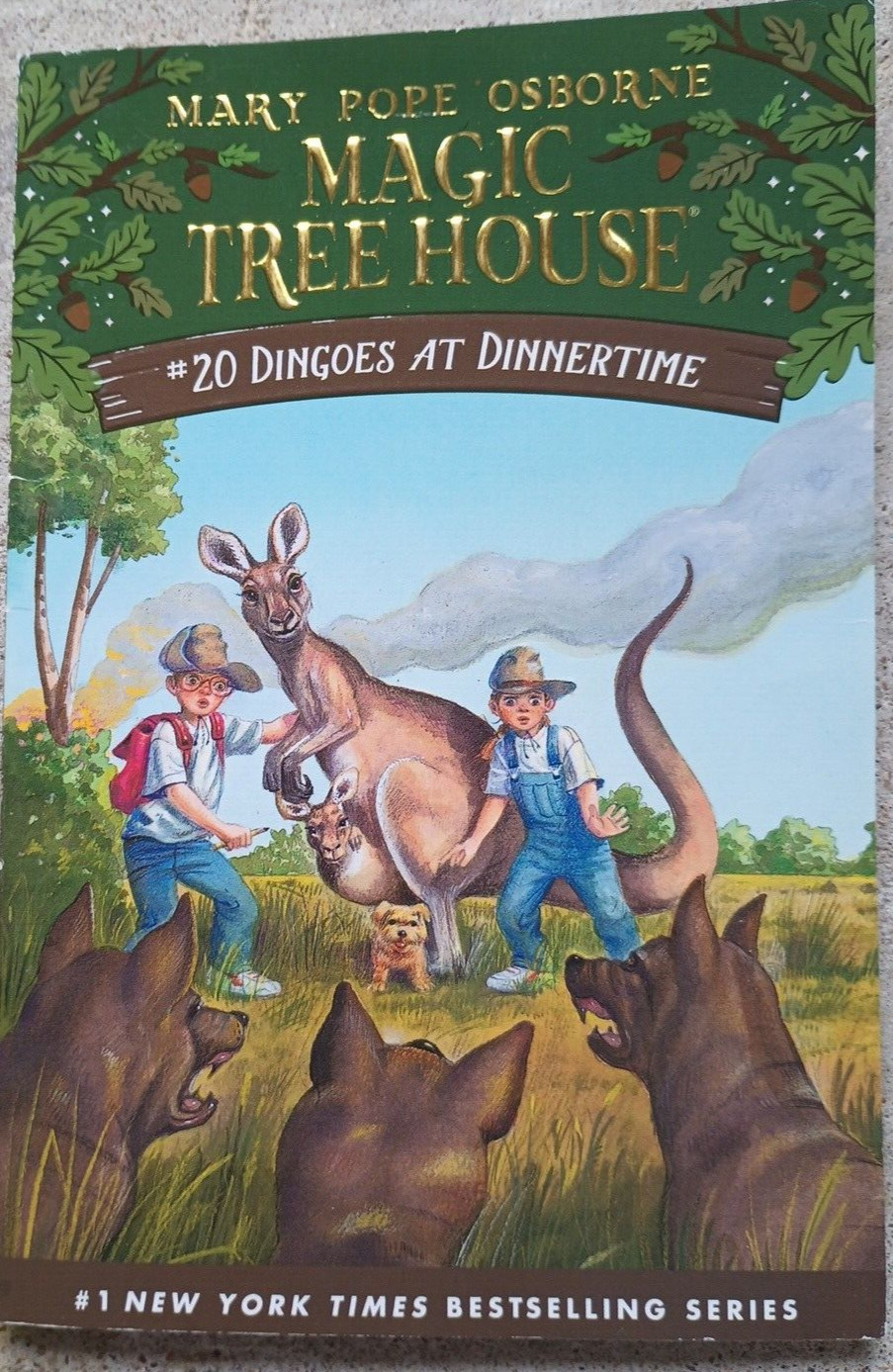 MAGIC TREE HOUSE BOOKS LOT OF 5 KIDS CHAPTER BOOK #2 3 4 16 20 MARY POPE OSBORN