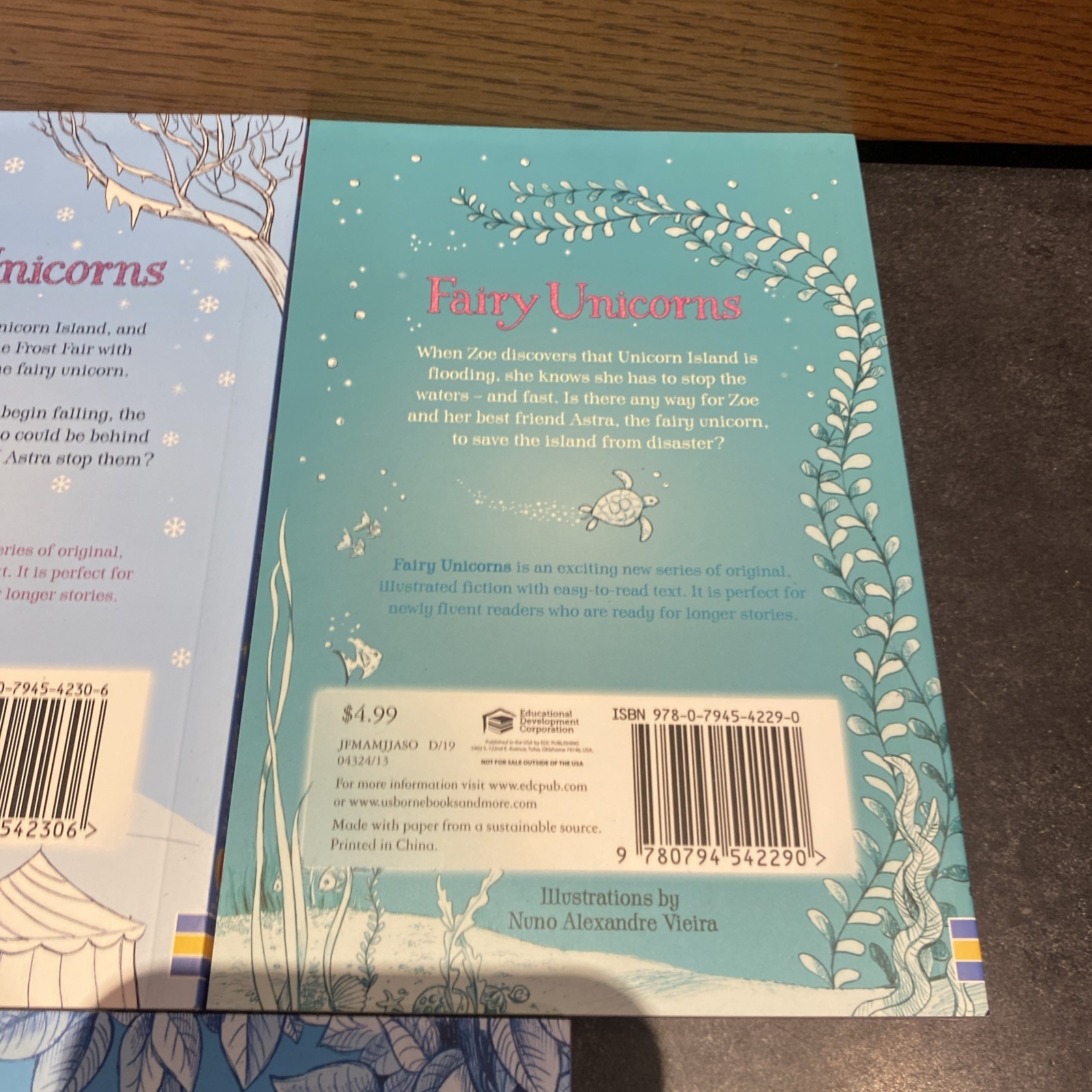 Fairy Unicorns Book Series Set of 5 Paperbacks by Zanna Davidson – MINT