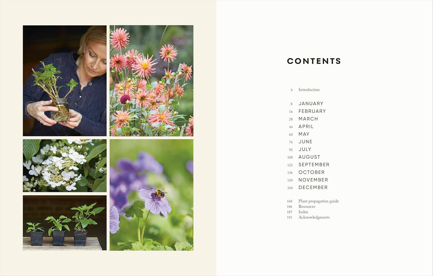 The Money-Saving Garden Year: A Month-by-month Guide to a Great Garden that Cost