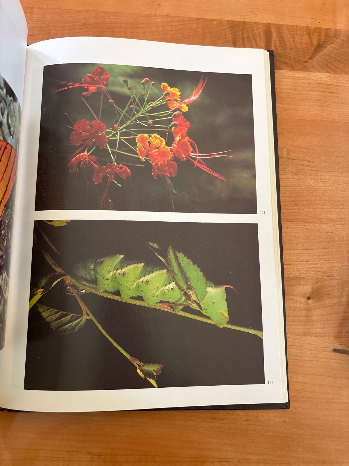 National Parks of Ecuador Hardback 1987 by Jorge Juan Anbalzer 230 Pages Rare
