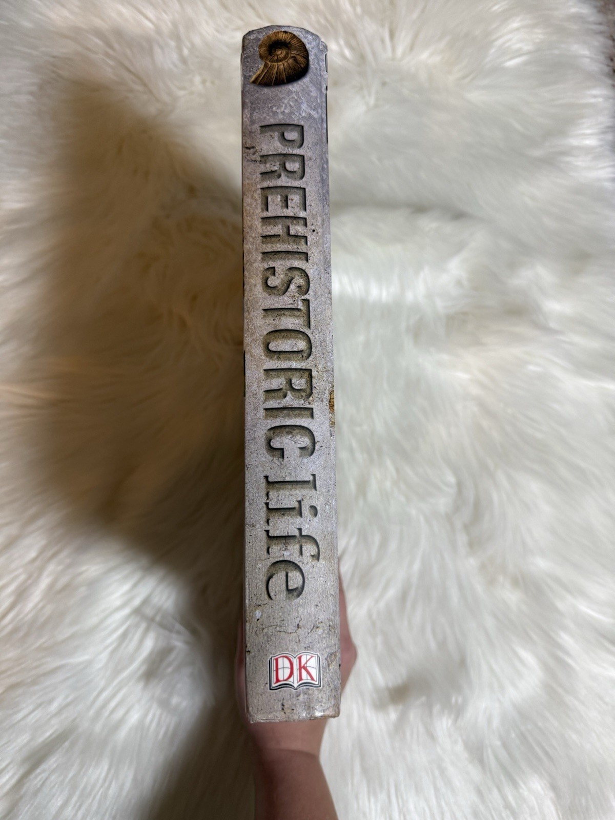 Prehistoric Life: The Definitive Visual History of Life on Earth by DK: Used