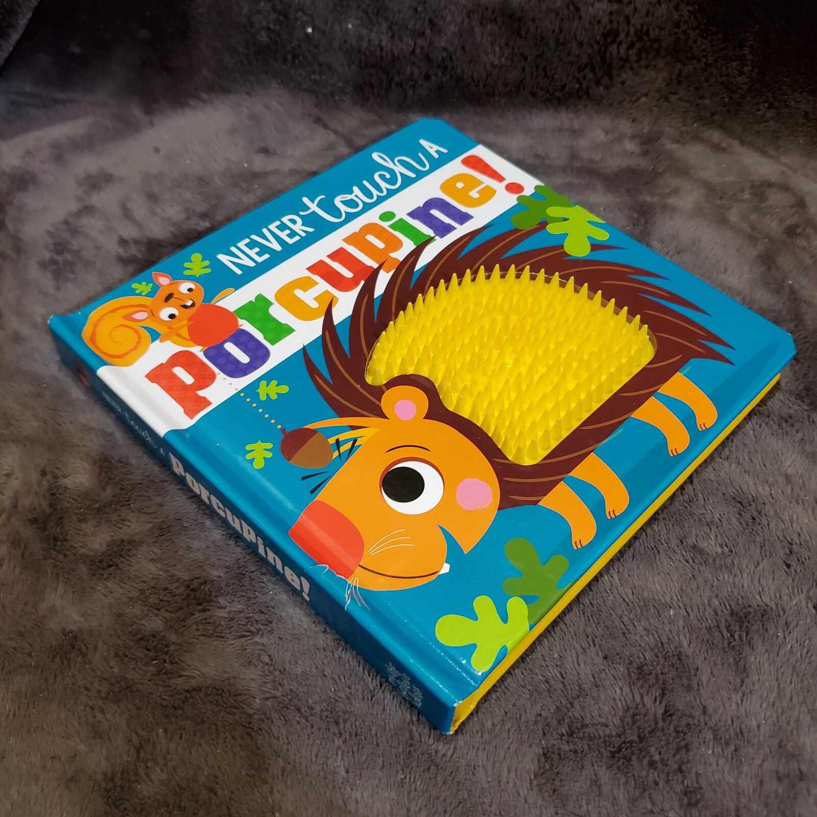 Never Touch a Porcupine! by Rosie Greening Hardcover