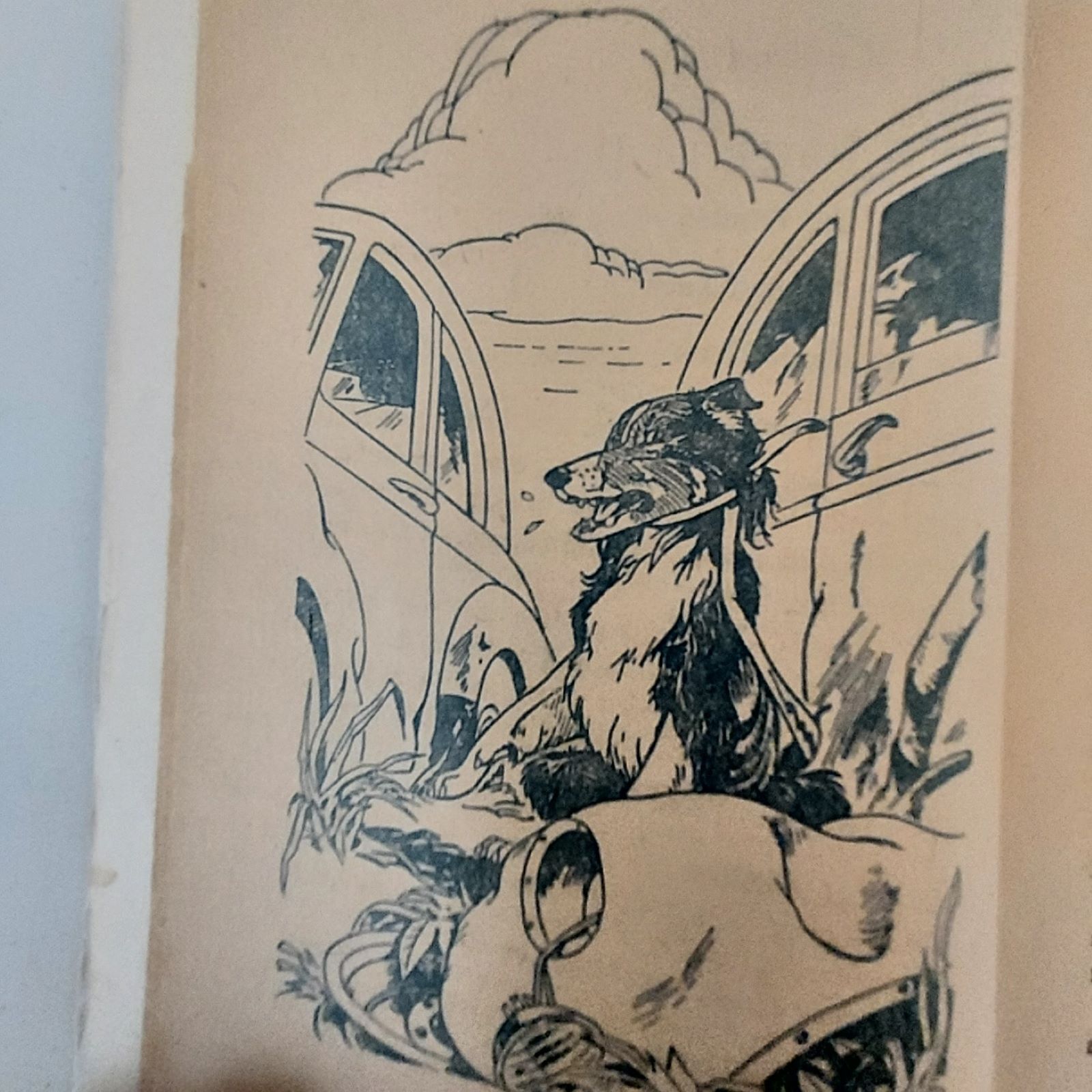 Vintage Lassie Trouble at Panter’s Lake 1982 Hooray for Lassie 1964 First Editio